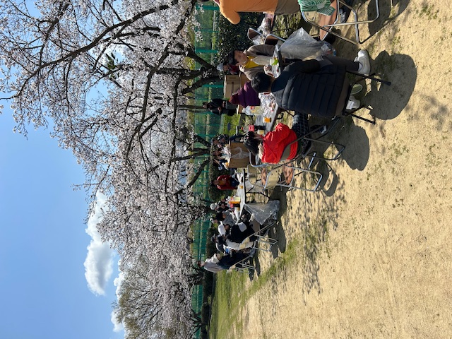 image12 (5)花見全景.jpeg