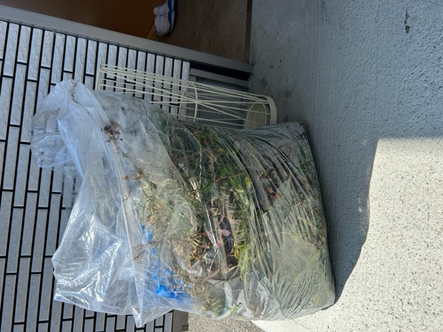 image2 (20)草.jpeg
